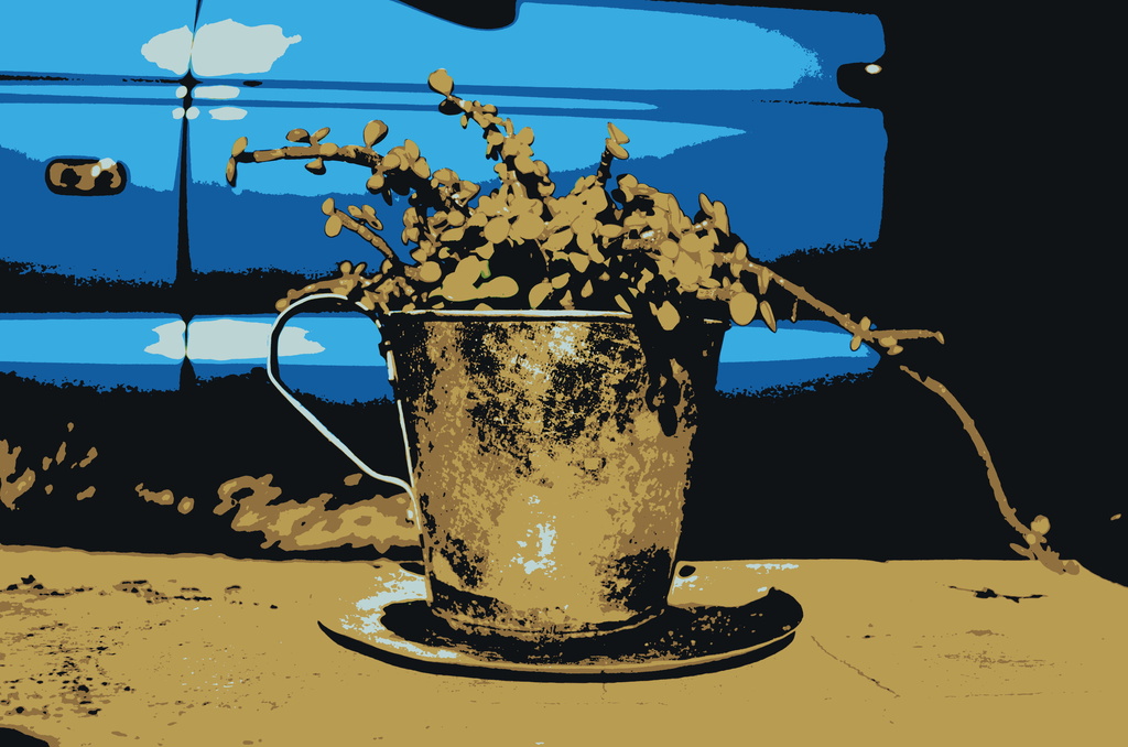 Tin Cup by salza