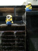 2nd Aug 2013 - Minions at Work - Rough Day?