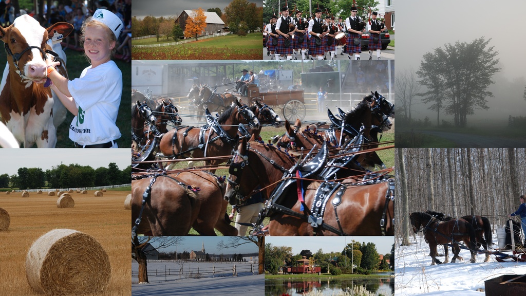 Glengarry Collage 1 by farmreporter