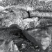 Old broken drain  by peterdegraaff