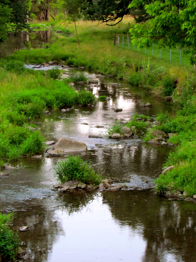 Creek by juletee
