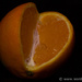 Minneola by leonbuys83