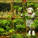 runner beans and scarecrow by jantan