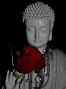 30th Aug 2010 - Red Rose and Buddha