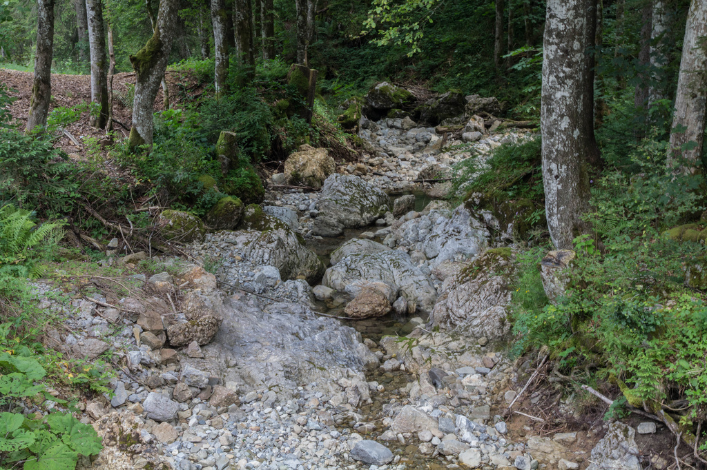 Stream on Hirzli walk in Glarus by rachel70