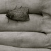 Moth in Hand by princessleia