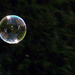 Caught in a bubble by tracys