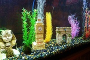 3rd Aug 2013 - Big Ben joins the aquarium