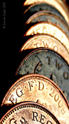 5th Aug 2013 - Sixteen Pence Worth of Bronze.