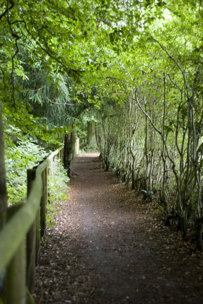 Footpath by tracybeautychick