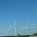 Windmills by rminer