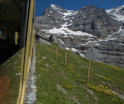 2nd Aug 2013 - Train to Interlaken