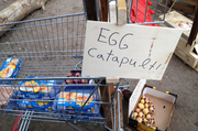 31st Jul 2013 - Egg Catapult