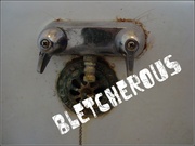 7th Aug 2013 - Bletcherous