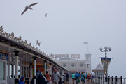 8th Aug 2013 - Brighton Pier
