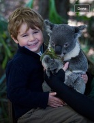 7th Aug 2013 - Grandson and koala 