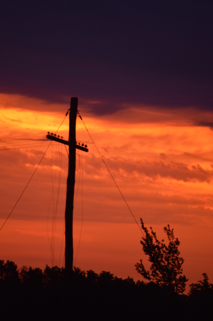 The Old Rugged Telegraph Pole by kareenking