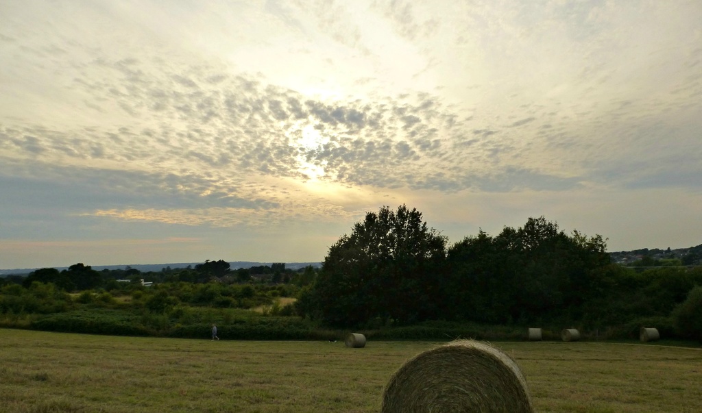 over the fields before sunset by quietpurplehaze
