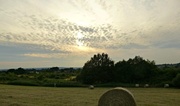 5th Aug 2013 - over the fields before sunset
