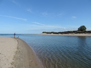 6th Aug 2013 - Alnmouth