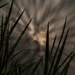 Evening Sun Reflection by digitalrn