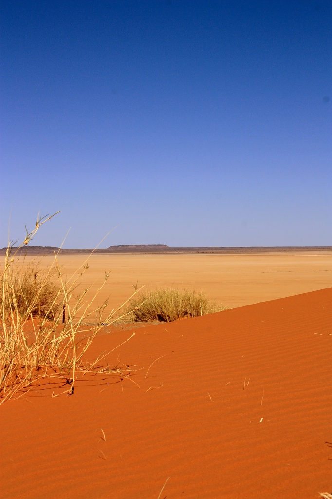 The red sand of the Kalahari by eleanor