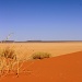 The red sand of the Kalahari by eleanor