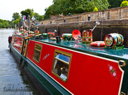 7th Aug 2013 - 7.8.13 Rosie & Jim