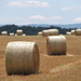 Lots of Rolls of hay! by dianezelia