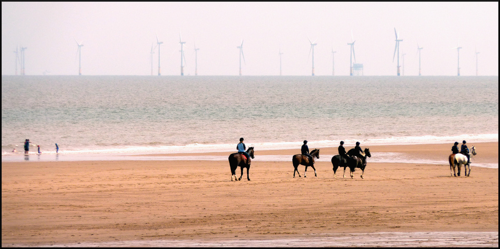 Horse Power and Wind Power by phil_howcroft