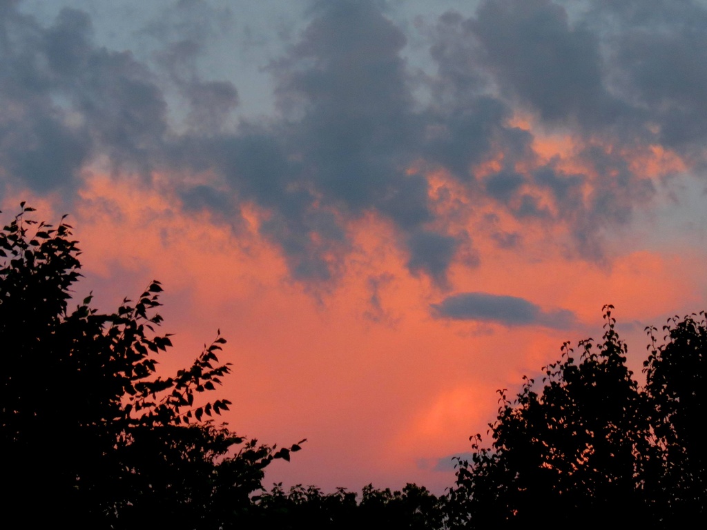 Reverse Sunset by grammyn