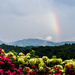 Rainbow on The Great Smoky Mountains by kathyladley