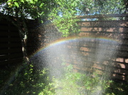 17th Jul 2013 - Self-made rainbow IMG_4621
