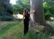 9th Jun 2012 - Big Tree 2