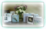 11th Aug 2013 - cards and flowers