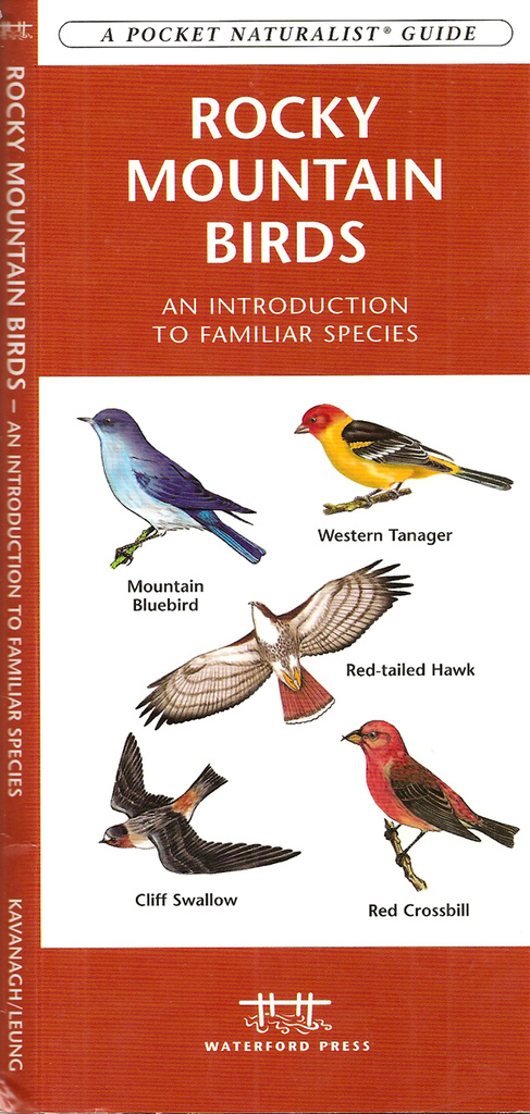Rocky Mountain birds guide by g3xbm