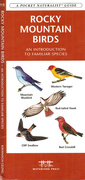 4th Aug 2013 - Rocky Mountain birds guide