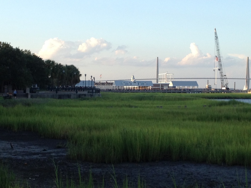 Marsh at Waterfront Park, Charleston, SC by congaree