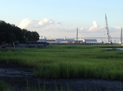 12th Aug 2013 - Marsh at Waterfront Park, Charleston, SC