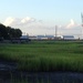 Marsh at Waterfront Park, Charleston, SC by congaree