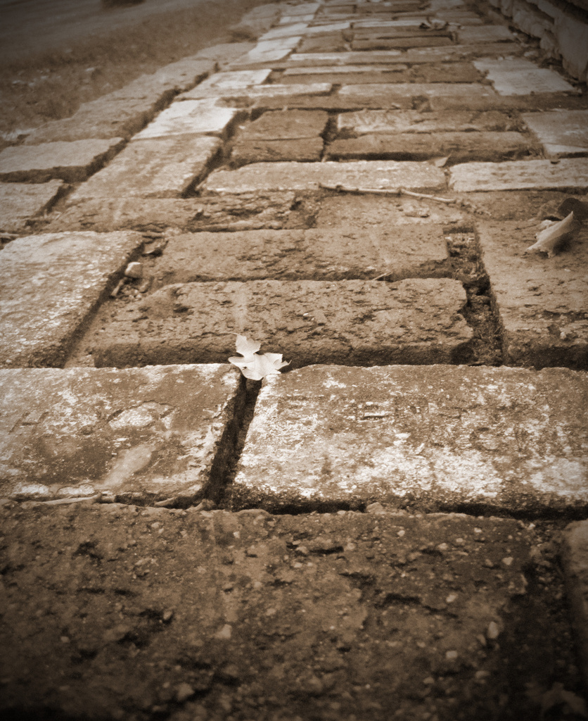 Brick Path by dakotakid35