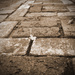 Brick Path by dakotakid35