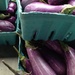 fairytale eggplants by wiesnerbeth