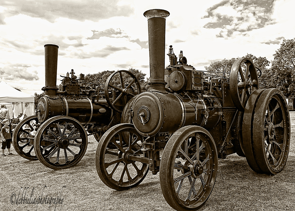 10.8.13 Full Steam Ahead by stoat