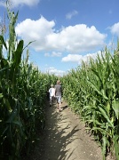 31st Aug 2010 - Maize Maze -You're Doing It Wrong