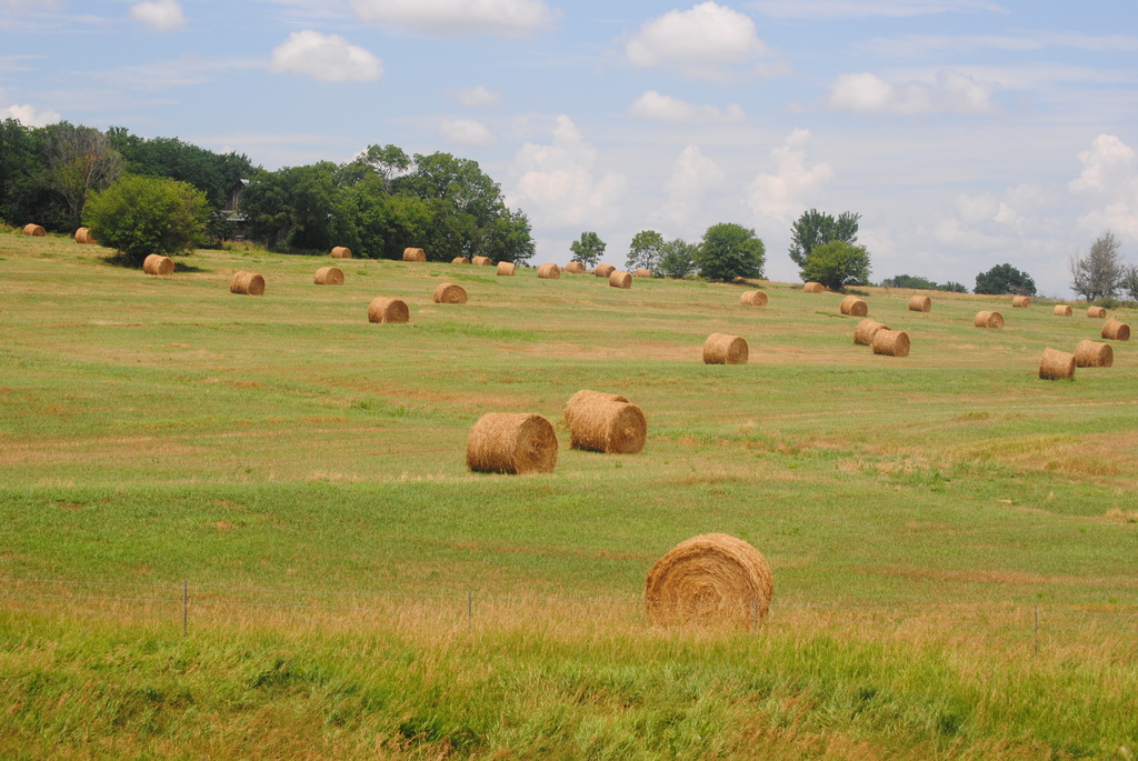 Hay Bales in Summer by genealogygenie