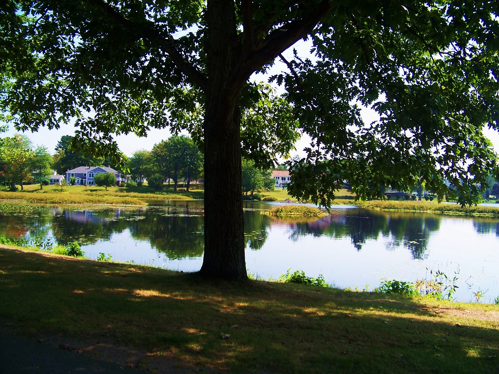 Number One Pond Sanford Maine August 31, 2010 by dorim