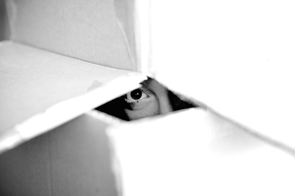 Cardboard Box Fun by kwind