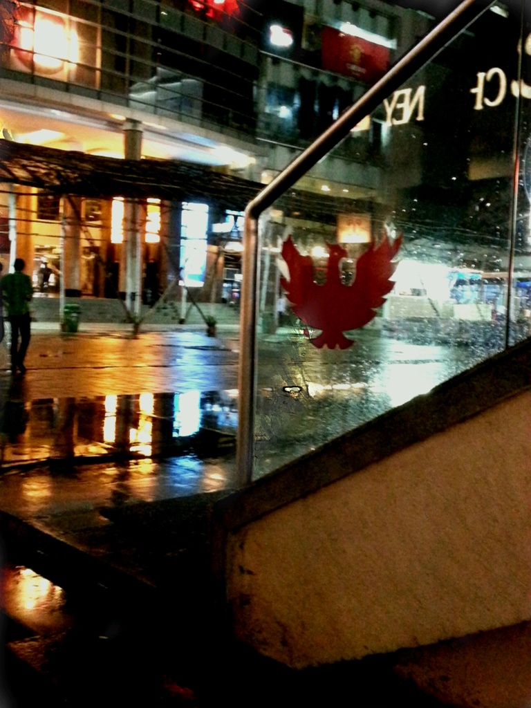Reflections in the rain... by amrita21
