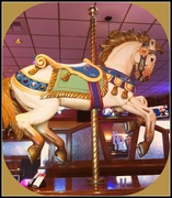 10th Aug 2013 - Carousel Horse
